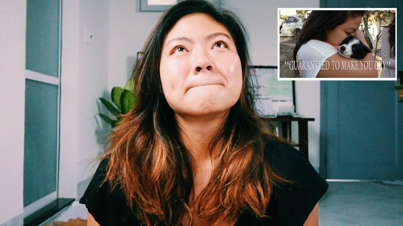 1 Year Later...What Really Happened!