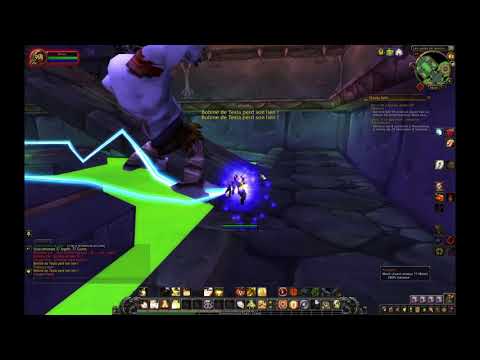World of Warcraft - Thaddius solo strat
