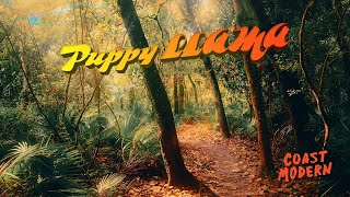 Puppy Llama Music Video