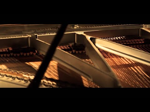 Grzegorz Turnau - Na Plażach Zanzibaru (official video)