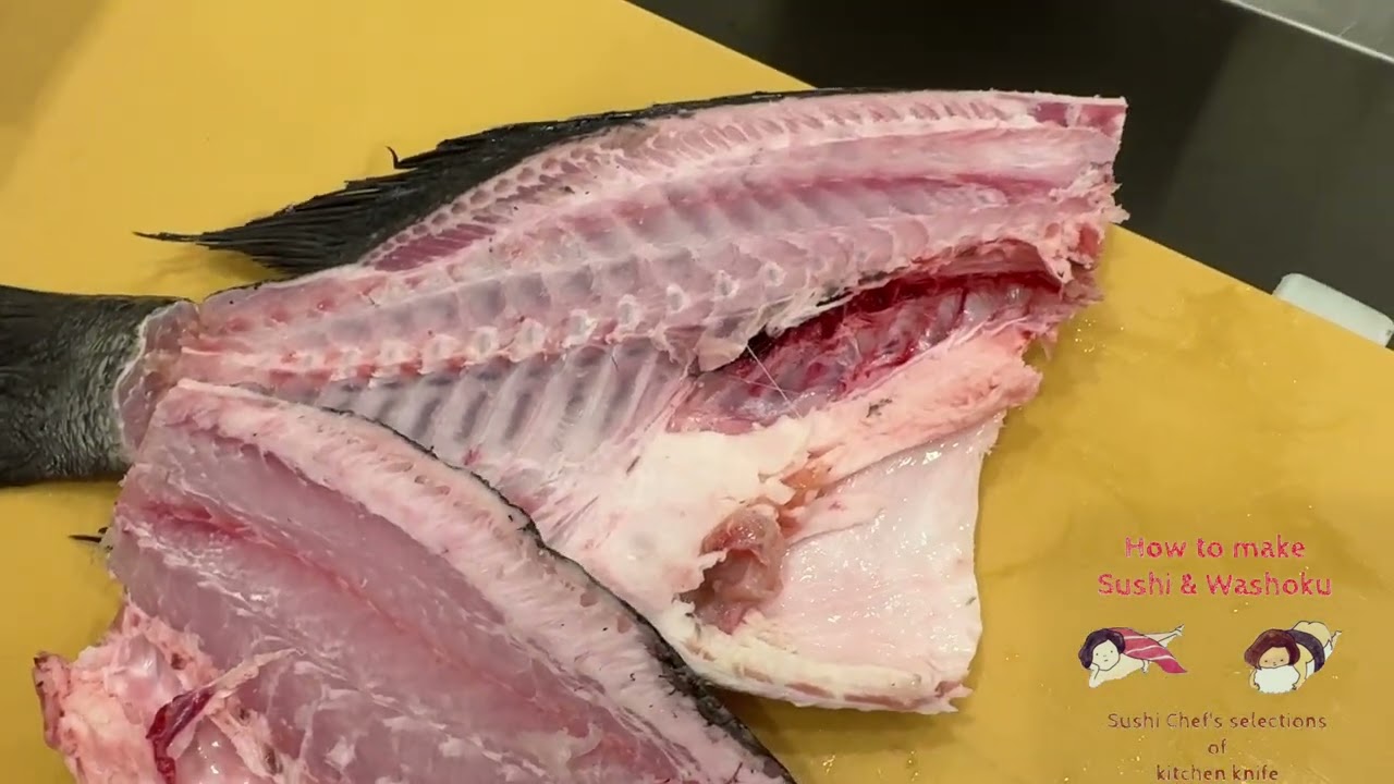 マダラタルミの下ろし方・まだらたるみ・ジョ兄さんの魚・津本式究極の血抜きからの三枚おろしと下処理・元寿司学校講師が教える・築地すしOmakase