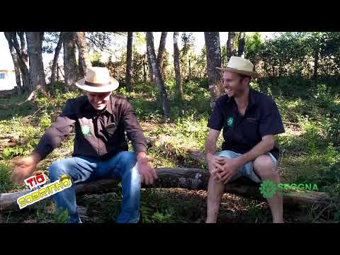 Tio e Sobrinho - Piadas de Bêbados e Cavalos