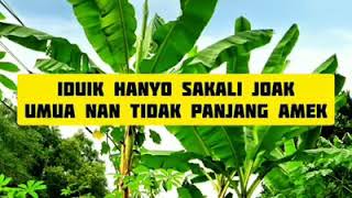 Download lagu Pituah minang mp3 Download lagu Pituah minang mp3