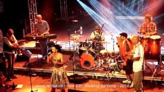 LARIBA LIVE 2013 - GERMANY