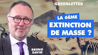 Extinction de la biodiversité
