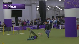 2025 Standard Course Preliminaries gameplay video by alucas, 226:56 duration