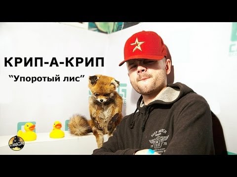 Video thumbnail for Упоротый лис (Smoked up fox)