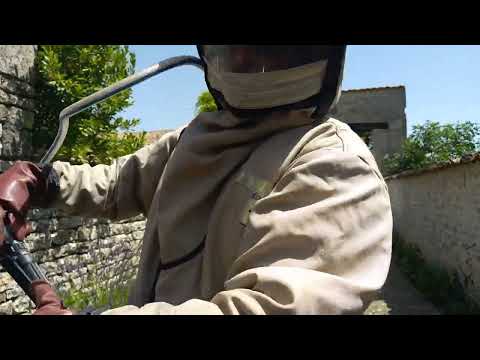 frelons asiatiques chaleur et combinaison, comment se  maintenir au frais un minimum.