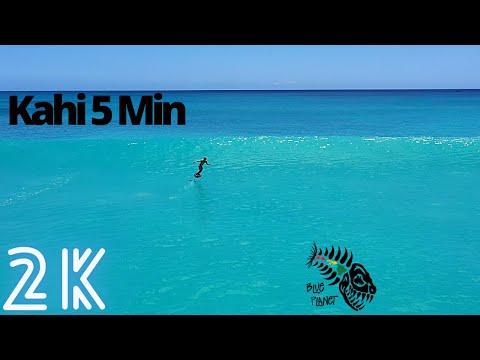 Video Contest- Video of the Day #48