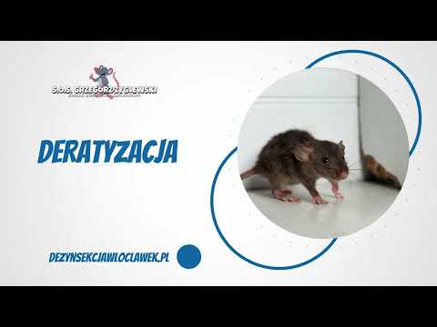 S.O.S. Zakład zwalczania szkodników Grzegorz Zyglewski - video