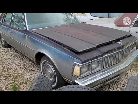 Thumbnail for Box Caprice Lineup: 1977-79 Chevrolet sedans for projects! by Chevrolet, Sedans