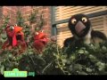 Addition Expedition LL Cool J Elmo Sesame St