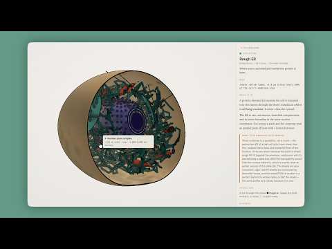 Product Video