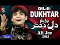 अली जी दिल ई दुखतर 2013 علی جی شگفت انگیز بچه پاکس�