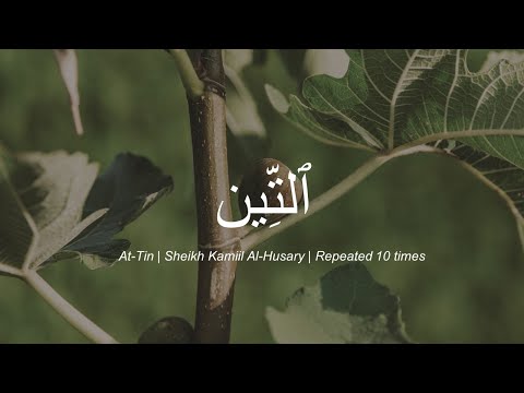 Surah #95 At Tin by Sheikh Khalil Al-Husary | Repeated 10x | Practise Tajweed