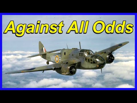 Against All Odds! How a Bomber Crew Were Rescued By a Pigeon.