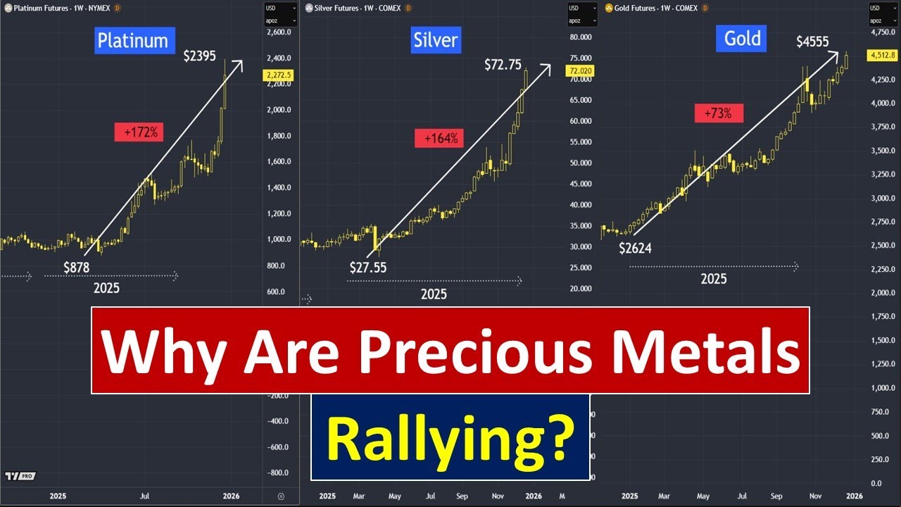 Why Are Precious Metals Rallying?