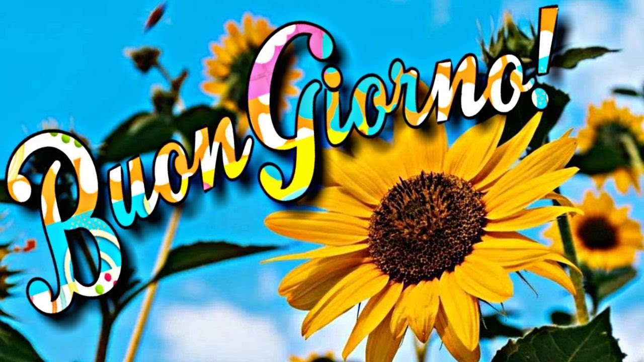Un buongiorno con tanto affetto 🌼🌻🌞
