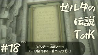 【ゼルダの伝説 ティアーズオブザキングダム】古代のお使い【18】
