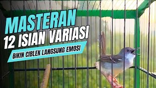 Download lagu Pancingan CIBLEK KRISTAL Gacor Ngebren 12 Variasi isian Mewah Untuk MASTERAN BURUNG Ciblek SEMI mp3