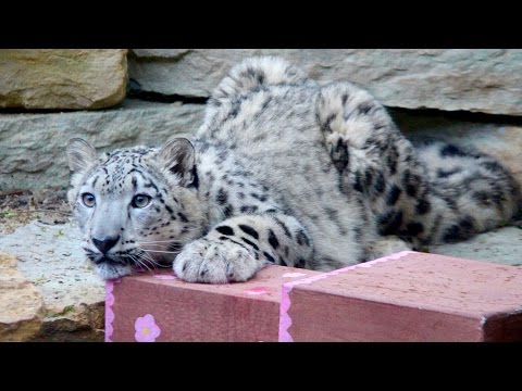 Happy birthday, Sameera!