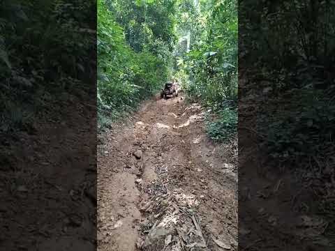 28/02/26 Trilha Capivari de Baixo ... com os Amigos do grupo  Cupins de Ferro