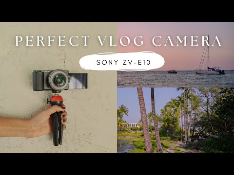 Sony ZV-E10 Review 2023 | Budget Vlogging Camera W/ Sample Shots
