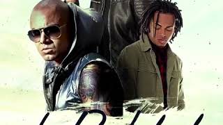 Pusho Ft. Wisin &amp; Ozuna - La Realidad (Official Remix)