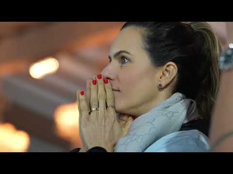 BRAZILIAN NATIONAL 2023 - The Vision of TP Arabians Coming True