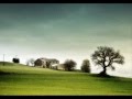 Through the trees (Ryan Levine) 