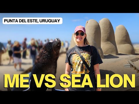 A Crazy Thing Happened in Uruguay 🇺🇾 | A Day in Punta del Este