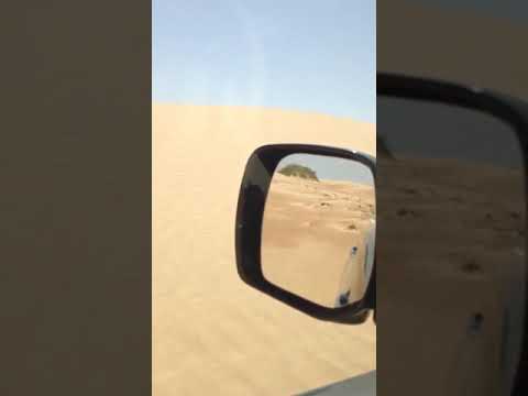 Wahibah sands- oman- dune safari - golden Palm oasis