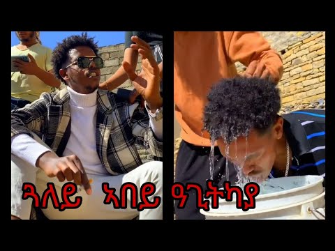 ጓለይ ኣበይ ኣላ ?  TIGRAY COMEDY ||ERITREAN DRAMA  || TIGRIGNA  || NESHNESH  ||ERITREA