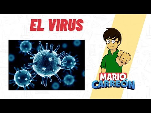 Los Virus 🦠