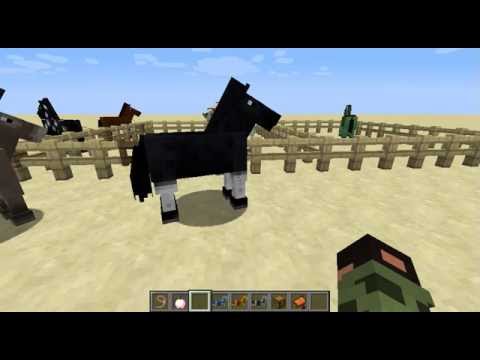 Minecraft: alles over (skelet/zombie) paarden!