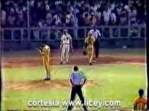 Chosen Champion 1980-1981