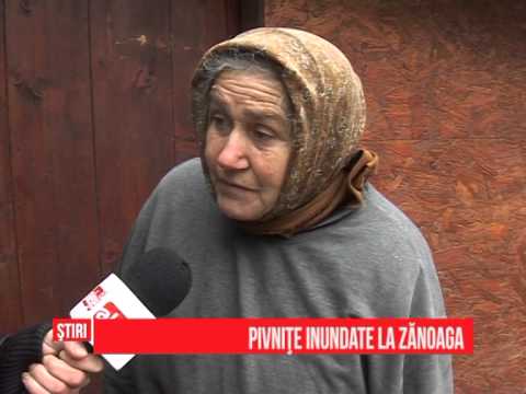 Pivniţe inundate la Zănoaga