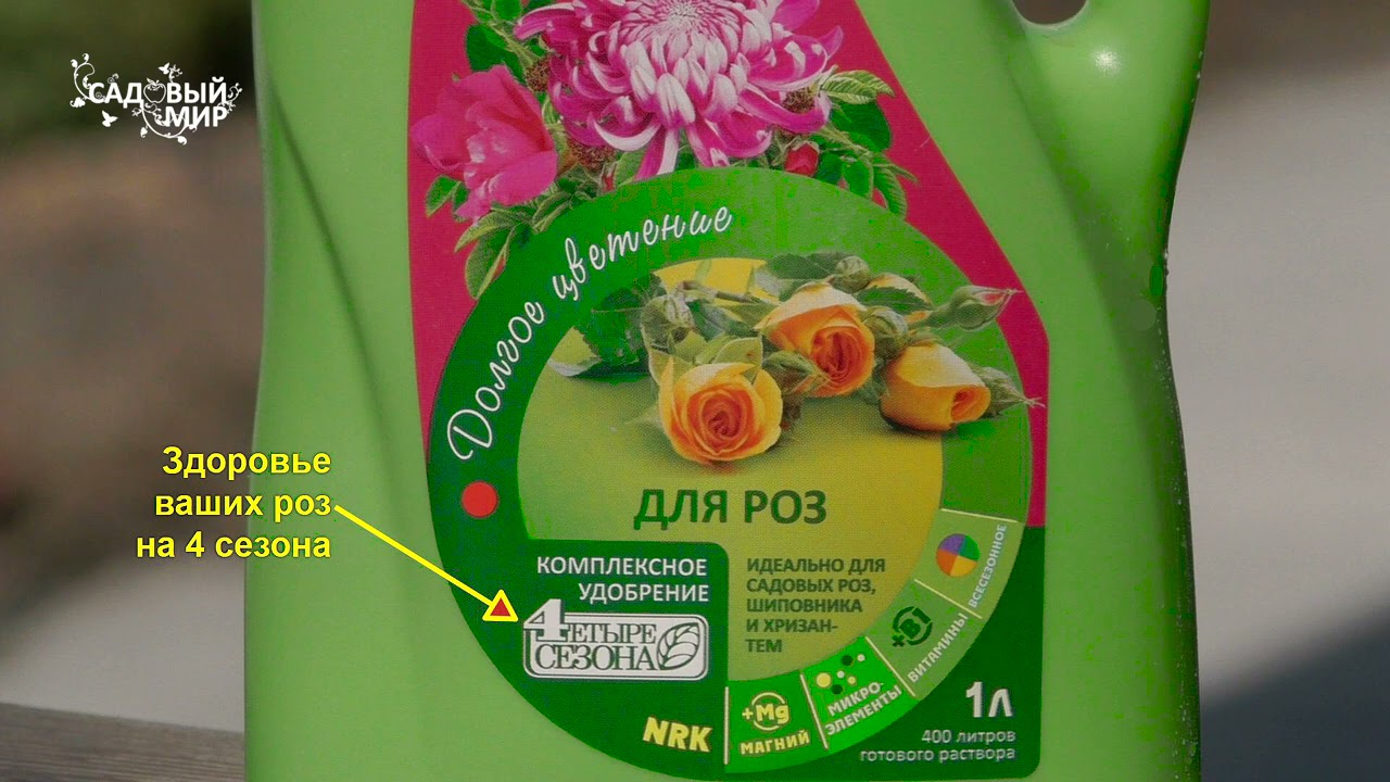 Чем подкормить розы весной после зимы