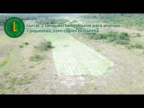 Em Roraima! Vendo Fazenda de 156 ha. Valor R$1.560.000,00. Mun. Amajarí-RR. CTT: (95) 98406-7188. 