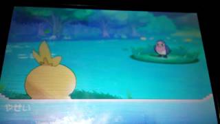 ポケモンoras Bgm なみのり أشهر موقع لمشاركة مقاطع الفيديو الموسيقية على الإنترنت ポケモンoras Bgm なみのり أشهر موقع لمشاركة مقاطع الفيديو الموسيقية على الإنترنت