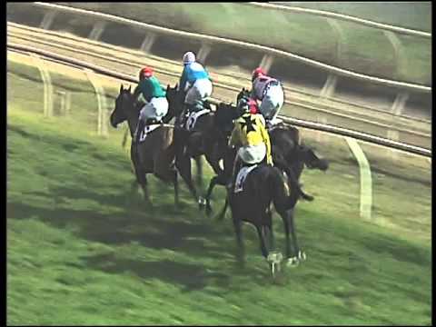 Galoppo 23/12/2015 - 4° corsa