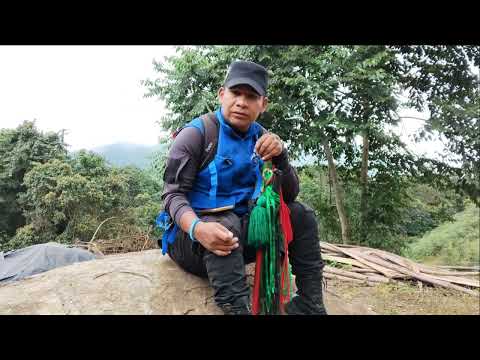 experiencia comunitaria “Semillero Luuçx Kiwe Thegnas” Municipio de Buenos Aires Cauca