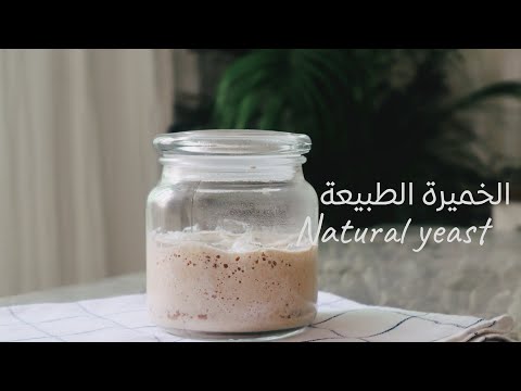 , title : 'الخميرة الطبيعة |natural yeast'