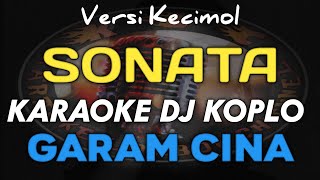 Download lagu KARAOKE DJ KOPLO GARAM CINA VERSI KECIMOL SONATA mp3