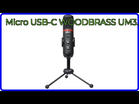 AVIS (2025) : Micro USB-C WOODBRASS UM3.. DÉTAILS ESSENTIELS