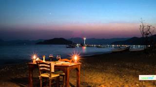 Birsen Tezer - Delikanlı