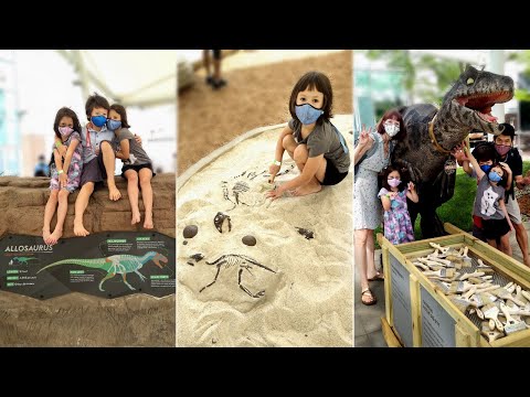 Procure fósseis de dinossauros no Liberty Science Center!