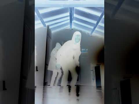 Te tanet ... Loko mynika