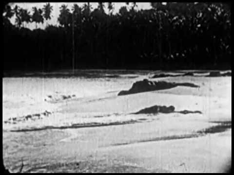 Tea Leaf Green - All Washed Up