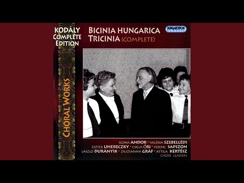 Zöld erdőben / In the Green Forest (BH1 003)